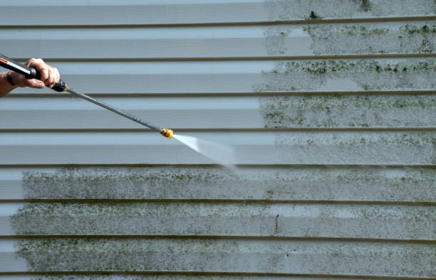 Best Affordable Pressure Washing  in Trenton, MI