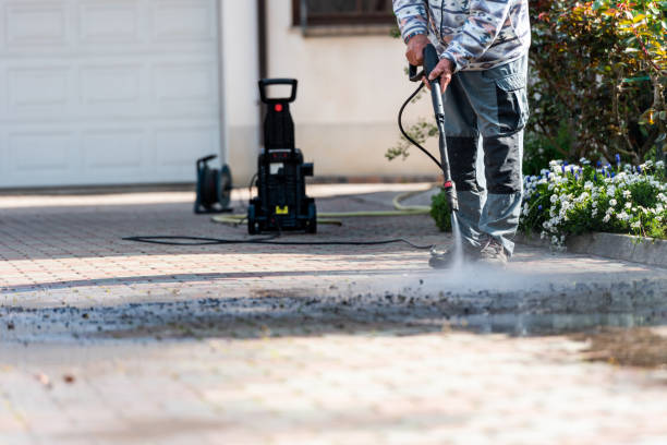 Best Pressure Washing Near Me  in Trenton, MI