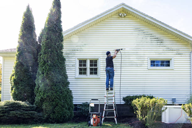 Best Pressure Washing Brick  in Trenton, MI