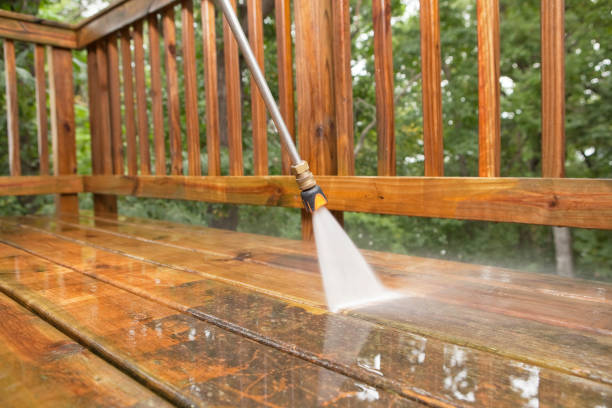 Best Commercial Pressure Washing  in Trenton, MI
