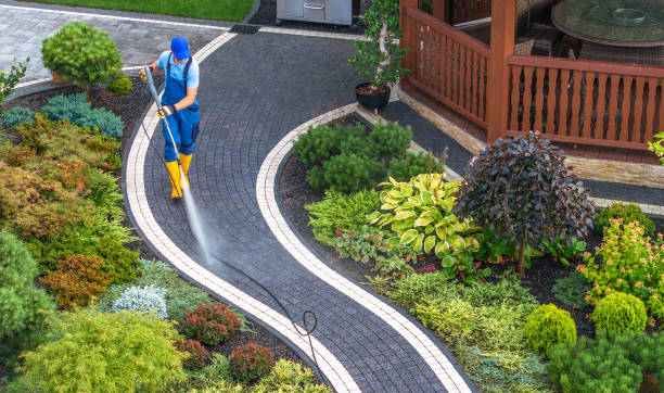 Best House Pressure Washing  in Trenton, MI